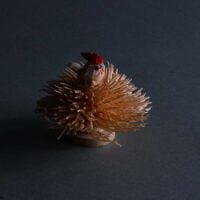 Sasano-Ittobori, FLOWERPECKER