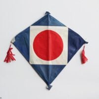 Nagasaki kite, turtle shell