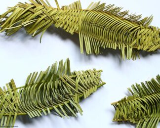 ソテツ細工のサカナ